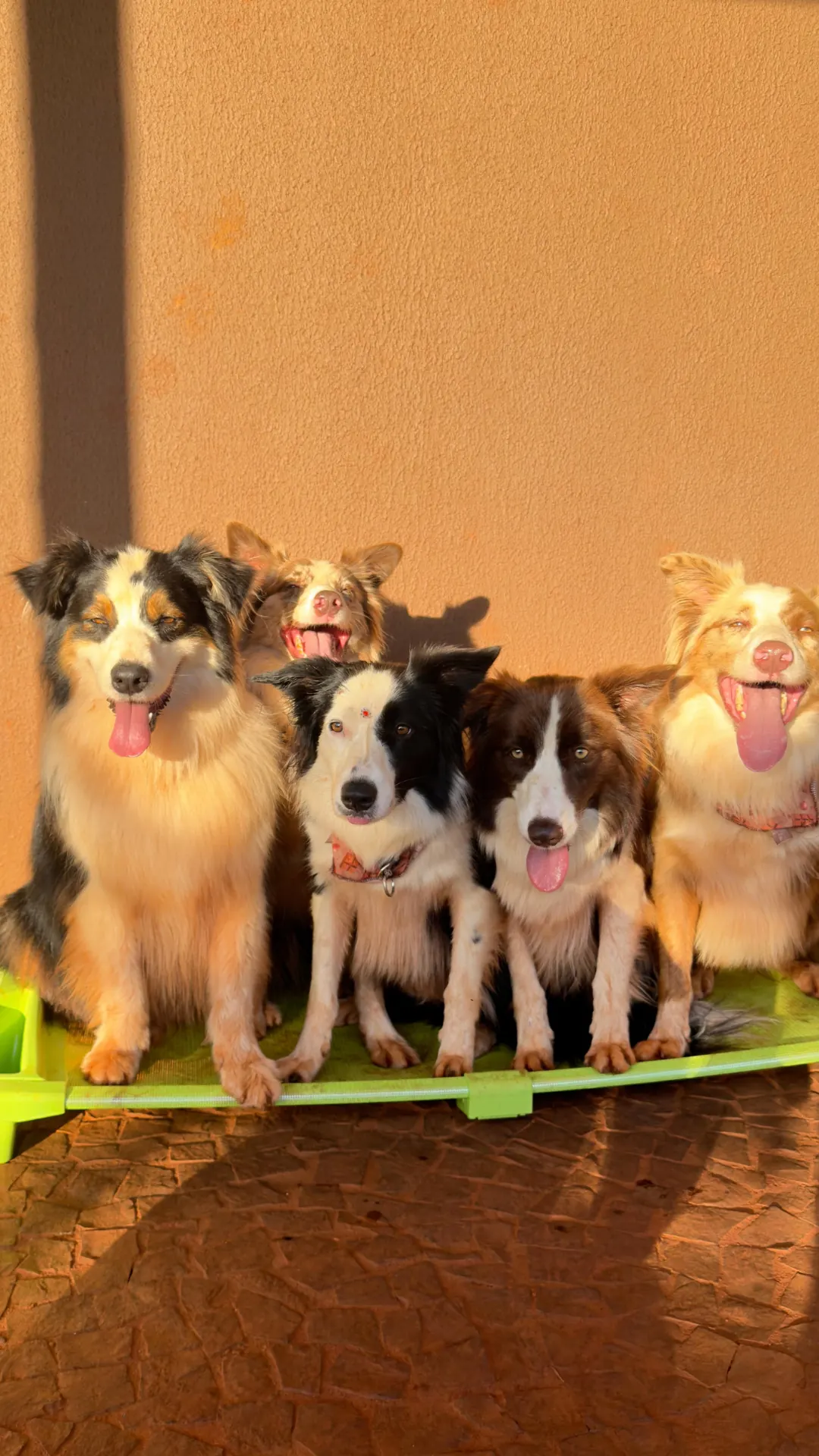 Equipe do Pet Park com um cãozinho no colo