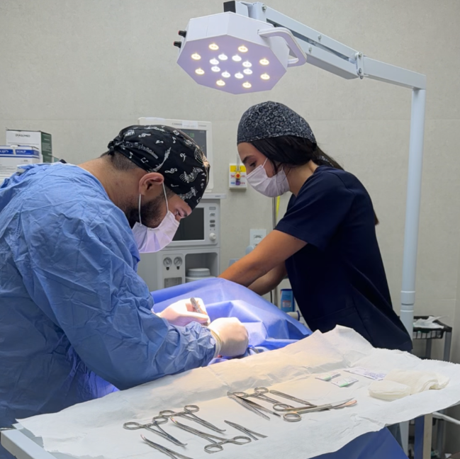 Centro cirúrgico veterinário do Pet Park em Rio Verde